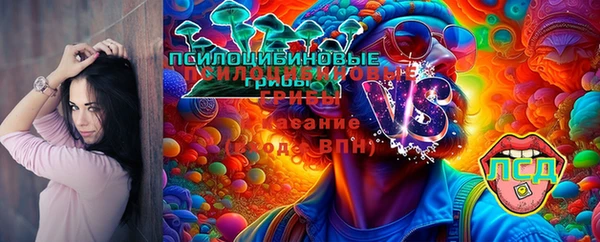 тгк Кукмор