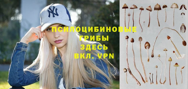 тгк Кукмор