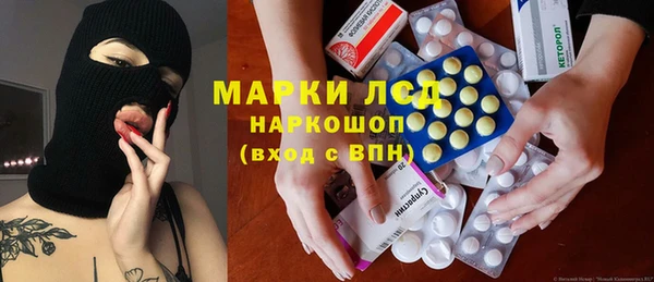 PSILOCYBIN Кулебаки