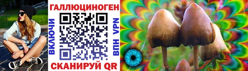 Псилоцибиновые грибы ЛСД  Купить закладки  Мончегорск 